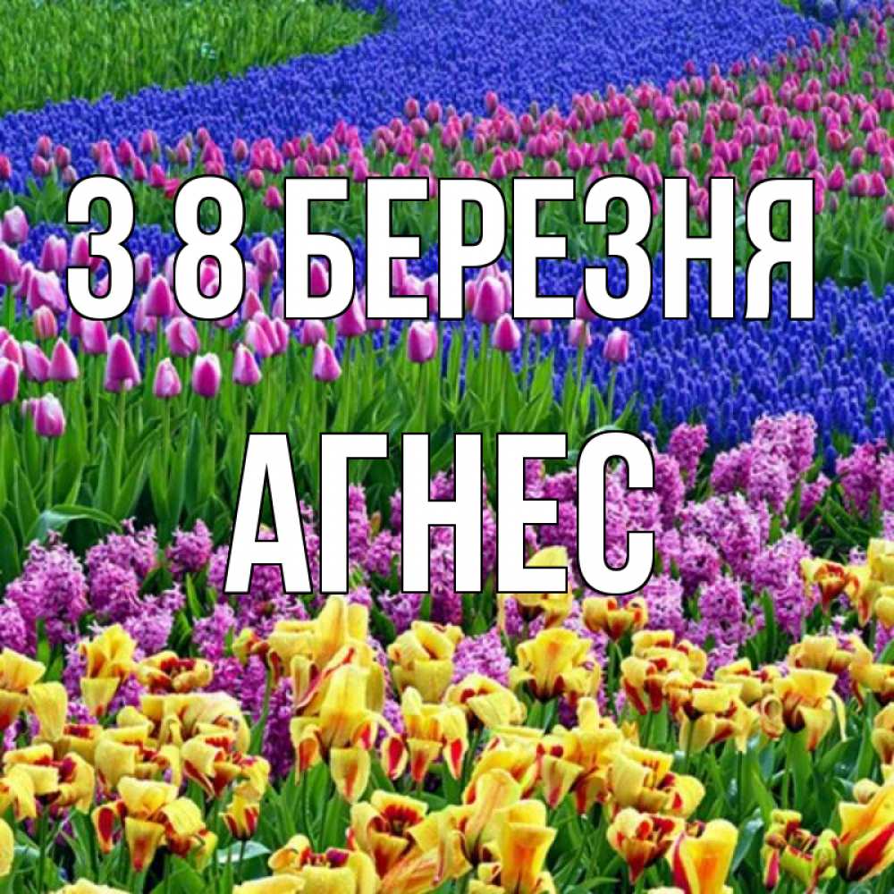 Открытка на каждый день з підписом, Агнес З 8 БЕРЕЗНЯ цветы Прикольна листівка з побажанням онлайн скачати безкоштовно 