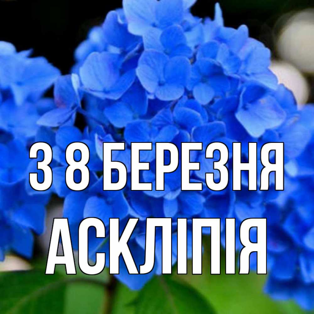 Открытка на каждый день з підписом, Аскліпія З 8 БЕРЕЗНЯ синие цветы Прикольна листівка з побажанням онлайн скачати безкоштовно 