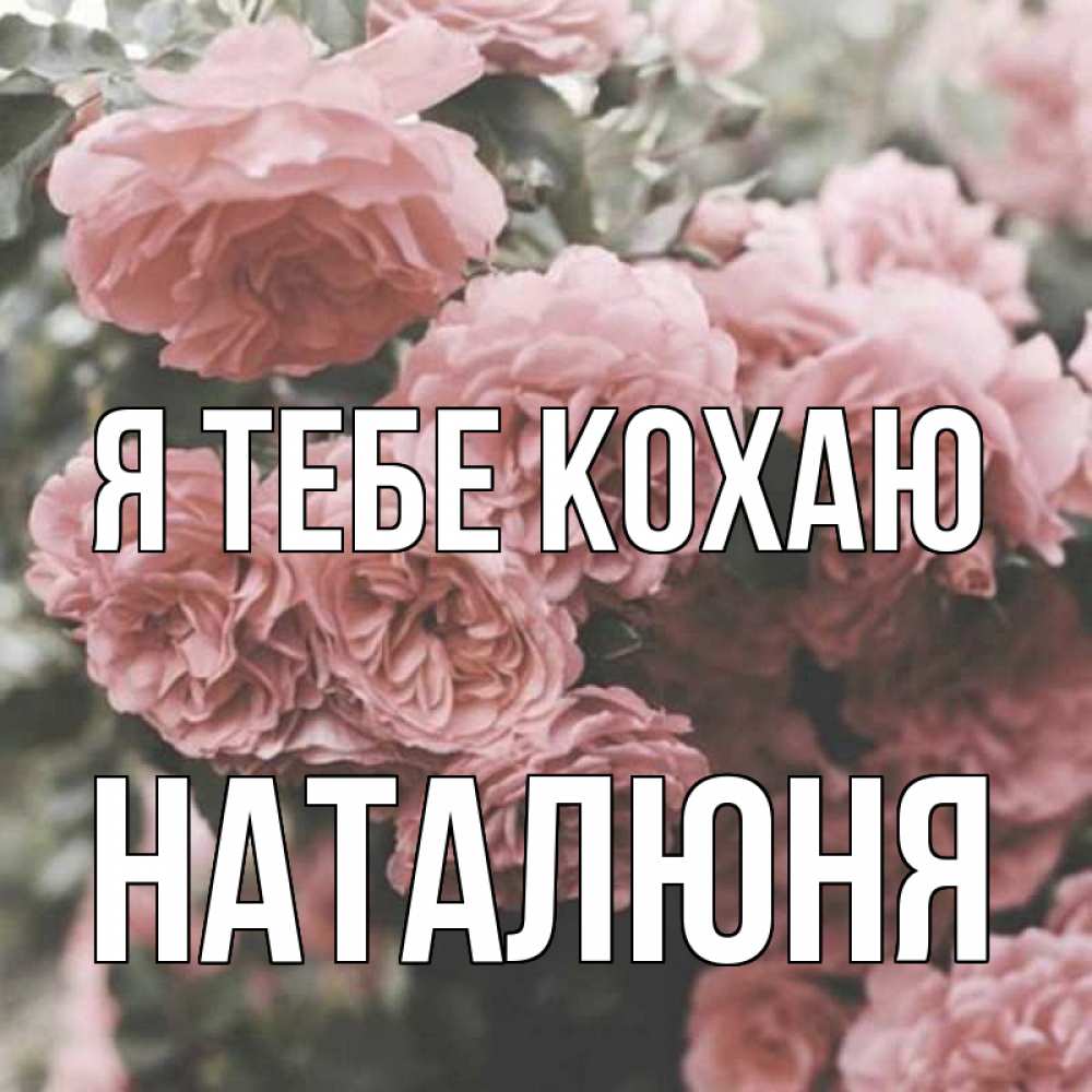Открытка на каждый день з підписом, Наталюня Я тебе кохаю розы 3 Прикольна листівка з побажанням онлайн скачати безкоштовно 