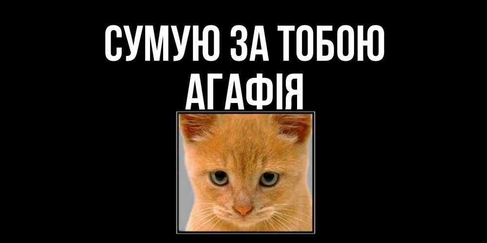 Открытка на каждый день з підписом, Агафія Сумую за тобою открытки рыжий котенок скучает по тебе Прикольна листівка з побажанням онлайн скачати безкоштовно 