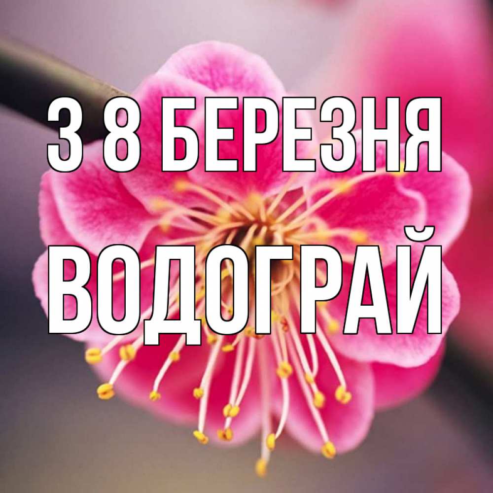 Открытка на каждый день з підписом, Водограй З 8 БЕРЕЗНЯ цветы Прикольна листівка з побажанням онлайн скачати безкоштовно 