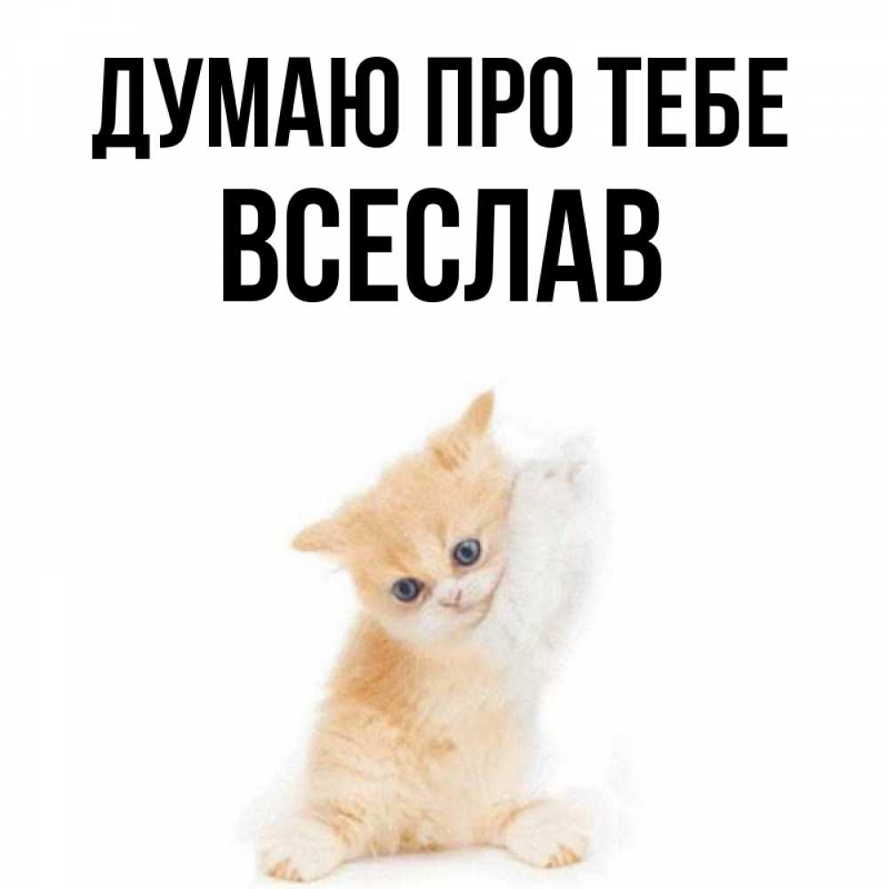 Открытка на каждый день з підписом, Всеслав Думаю про тебе зверушки и милота Прикольна листівка з побажанням онлайн скачати безкоштовно 