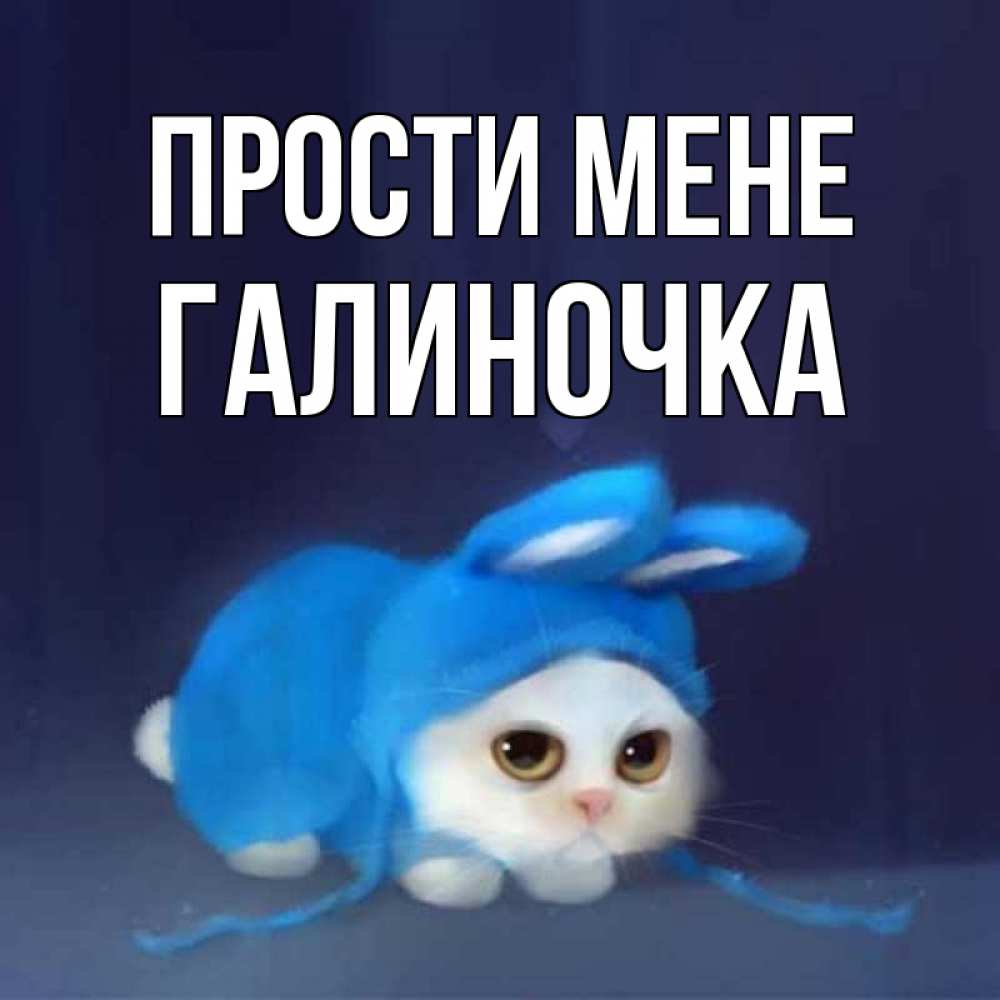 Открытка на каждый день з підписом, Галиночка Прости мене невинный котозай просит прощения Прикольна листівка з побажанням онлайн скачати безкоштовно 