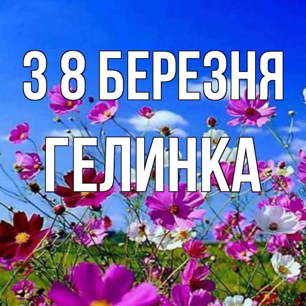 Открытка на каждый день з підписом, Гелинка З 8 БЕРЕЗНЯ цветы Прикольна листівка з побажанням онлайн скачати безкоштовно 
