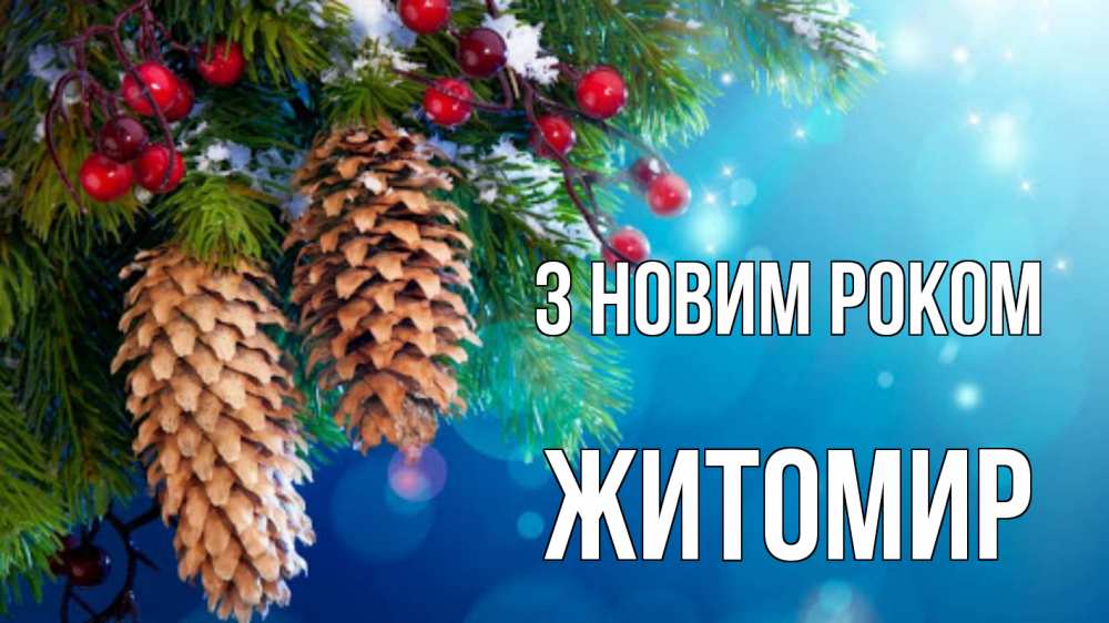 Открытка на каждый день з підписом, Житомир З новим роком Новый год, ель, шишки Прикольна листівка з побажанням онлайн скачати безкоштовно 