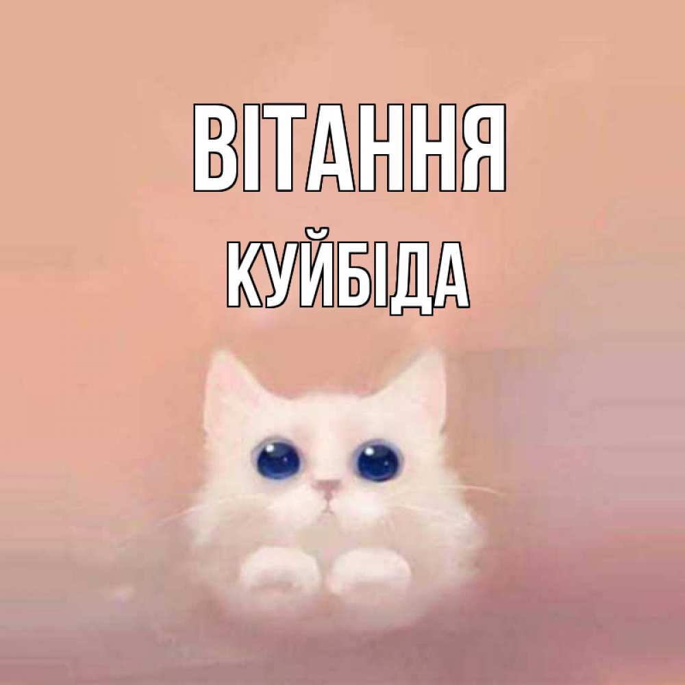 Открытка на каждый день з підписом, Куйбіда Вітання котик белый в полете Прикольна листівка з побажанням онлайн скачати безкоштовно 