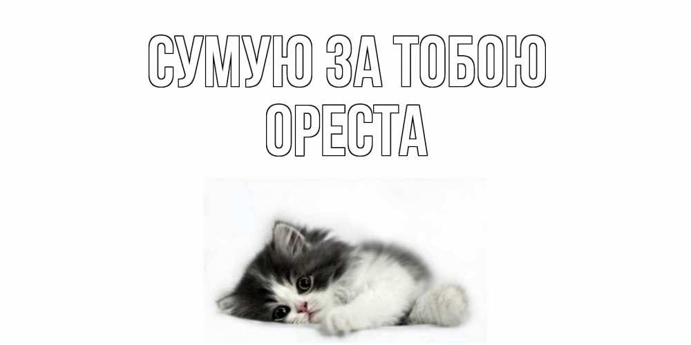 Открытка на каждый день з підписом, Ореста Сумую за тобою кот, скука Прикольна листівка з побажанням онлайн скачати безкоштовно 