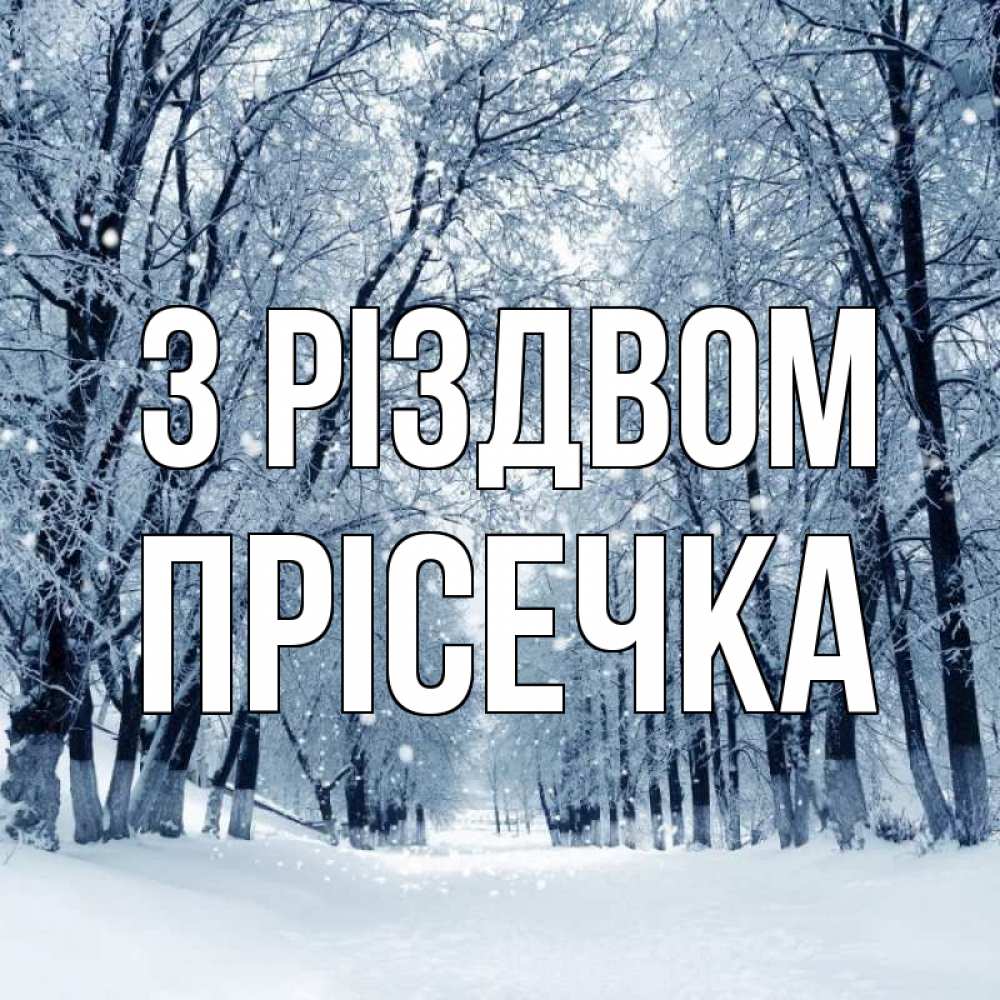 Открытка на каждый день з підписом, Прісечка З Різдвом снег, лес, парк Прикольна листівка з побажанням онлайн скачати безкоштовно 