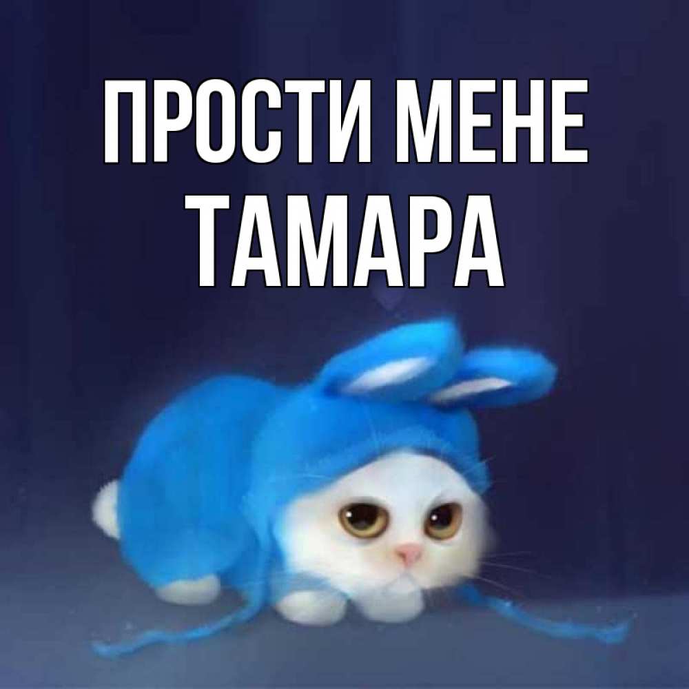 Открытка на каждый день з підписом, Тамара Прости мене невинный котозай просит прощения Прикольна листівка з побажанням онлайн скачати безкоштовно 