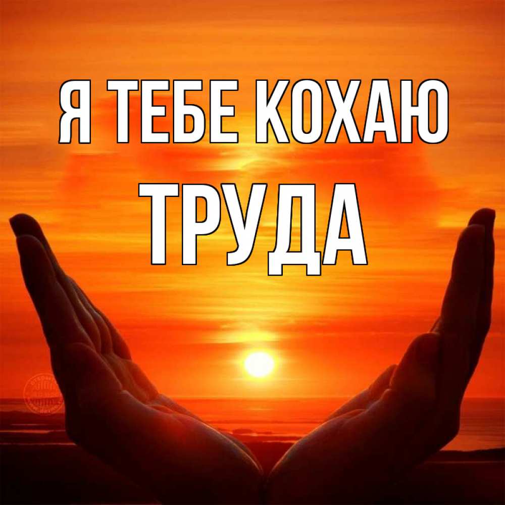Открытка на каждый день з підписом, Труда Я тебе кохаю в руках Прикольна листівка з побажанням онлайн скачати безкоштовно 