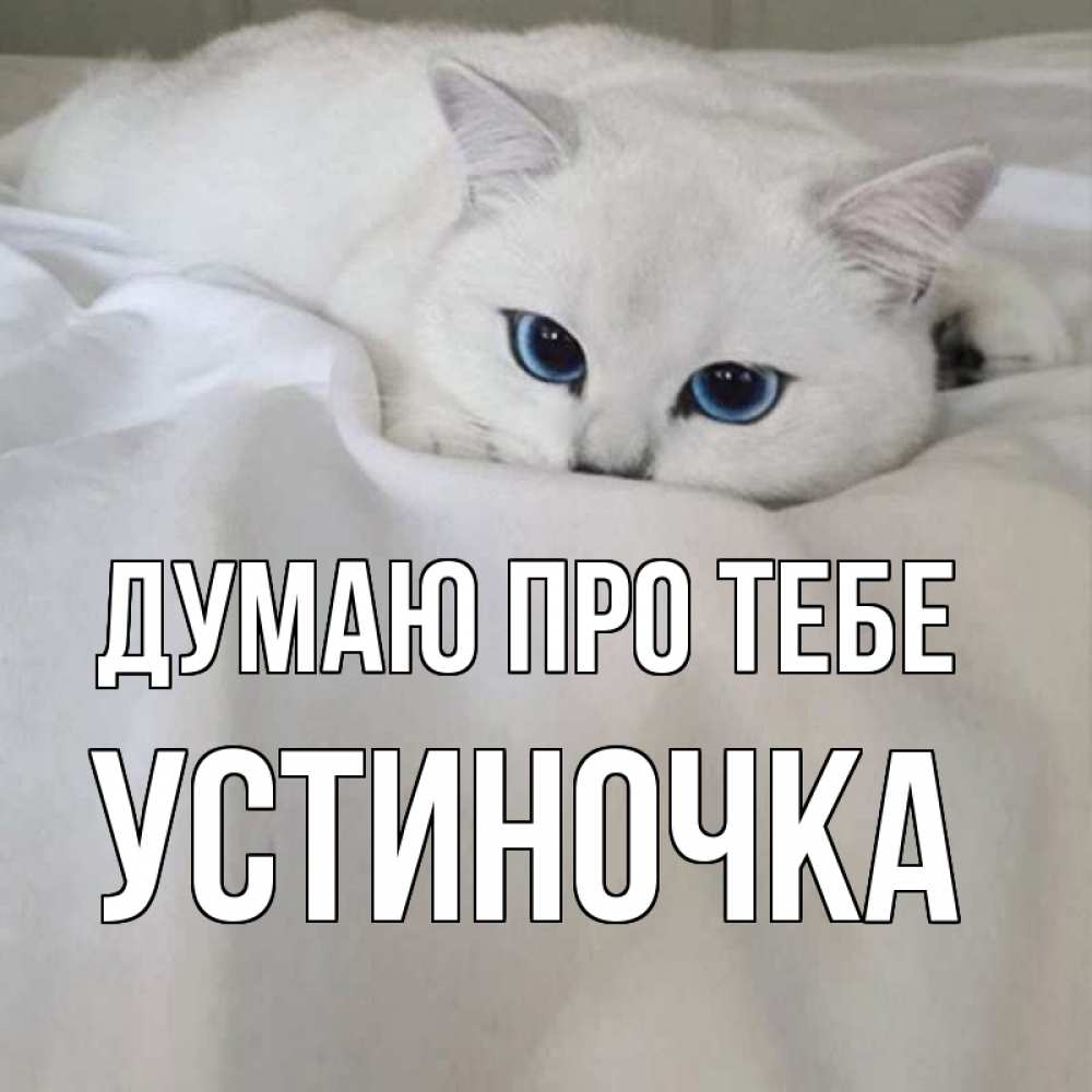 Открытка на каждый день з підписом, Устиночка Думаю про тебе я очень по тебе скучаю и тоскую Прикольна листівка з побажанням онлайн скачати безкоштовно 