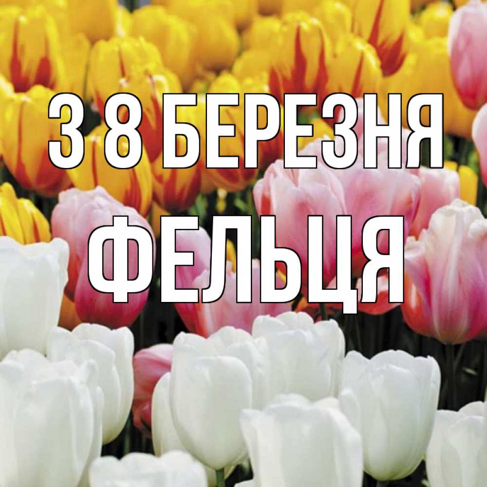Открытка на каждый день з підписом, Фельця З 8 БЕРЕЗНЯ разноцветные цветы Прикольна листівка з побажанням онлайн скачати безкоштовно 