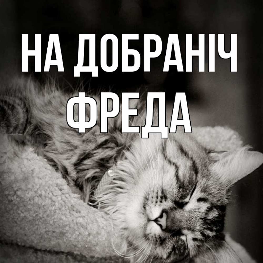 Открытка на каждый день з підписом, Фреда На добраніч котярик пушистый Прикольна листівка з побажанням онлайн скачати безкоштовно 