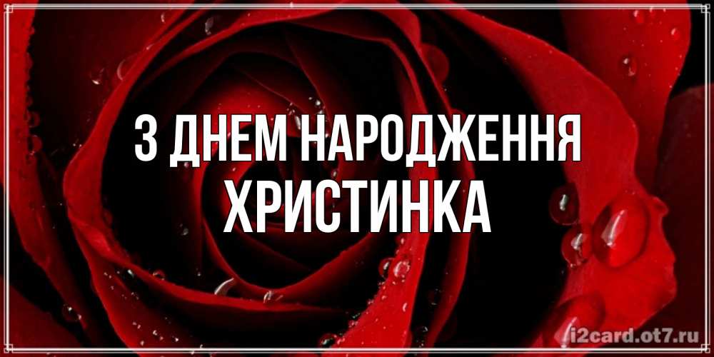 Открытка на каждый день з підписом, Христинка З Днем народження крупная бордовая роза Прикольна листівка з побажанням онлайн скачати безкоштовно 