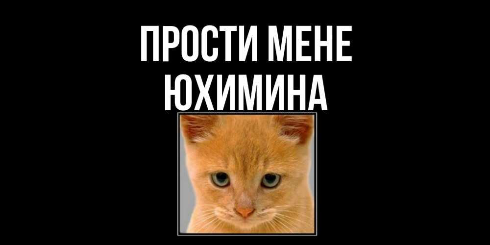 Открытка на каждый день з підписом, Юхимина Прости мене рыжий грустный кот просит прощения Прикольна листівка з побажанням онлайн скачати безкоштовно 