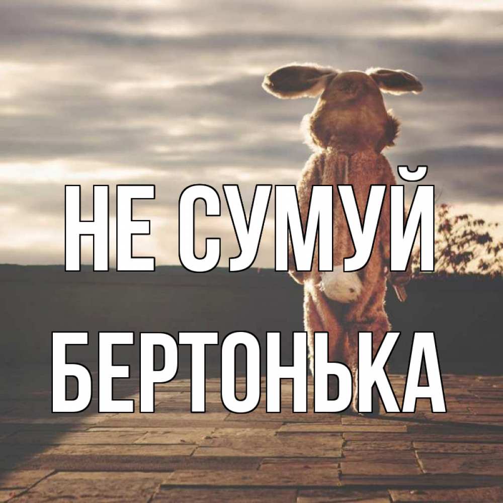 Открытка на каждый день з підписом, Бертонька Не сумуй со спины Прикольна листівка з побажанням онлайн скачати безкоштовно 