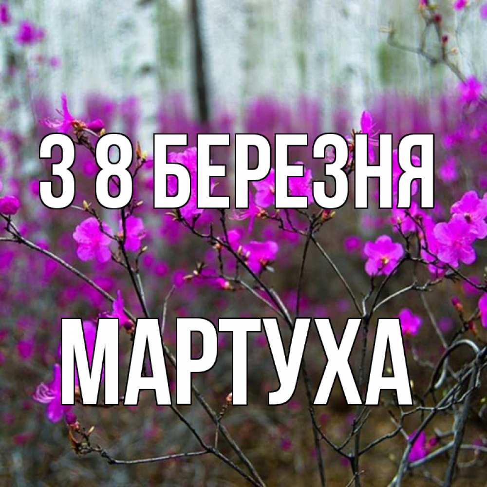 Открытка на каждый день з підписом, Мартуха З 8 БЕРЕЗНЯ дикие цветы Прикольна листівка з побажанням онлайн скачати безкоштовно 