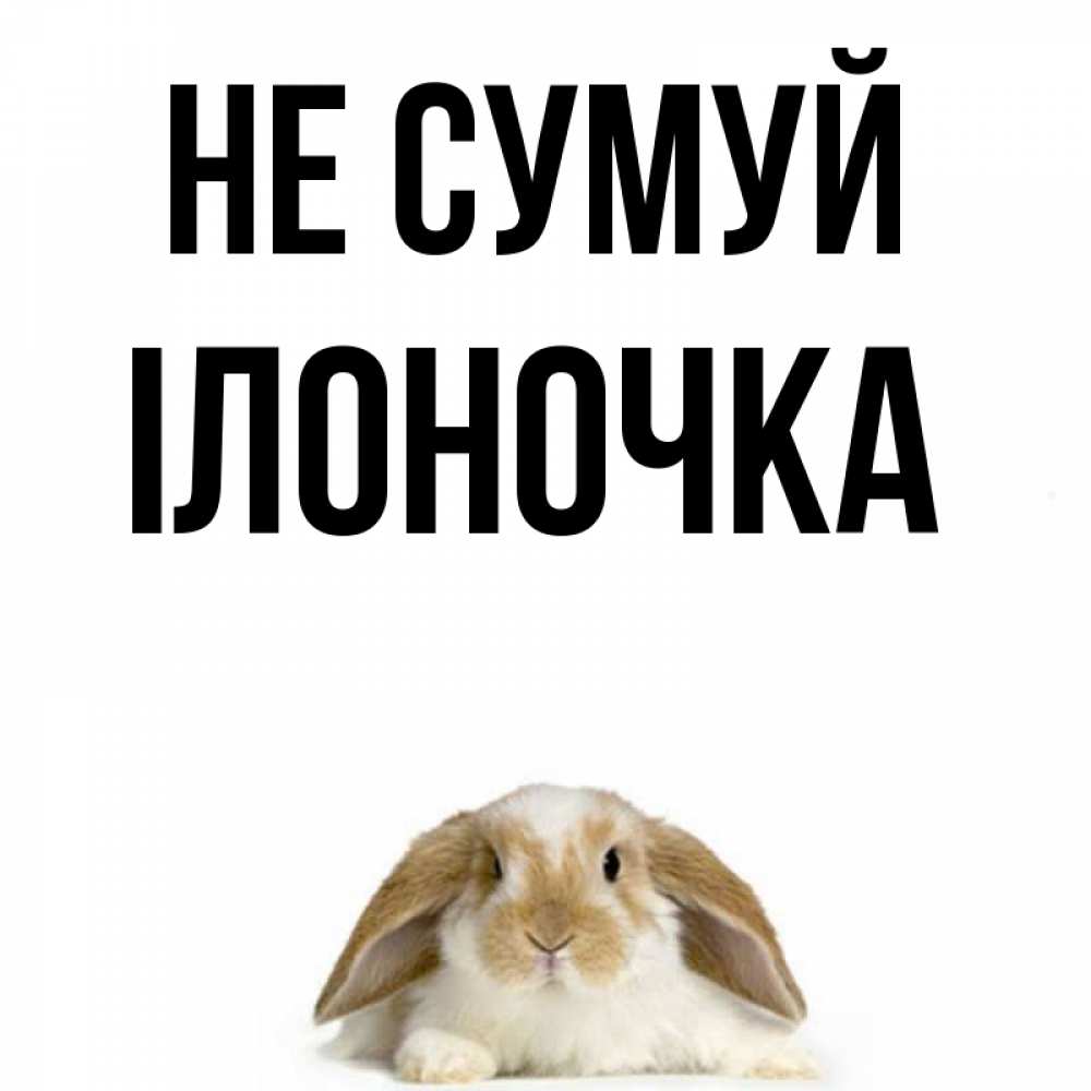 Открытка на каждый день з підписом, Ілоночка Не сумуй коричнево белый заяц с большими ушками Прикольна листівка з побажанням онлайн скачати безкоштовно 