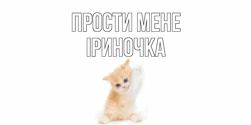 Открытка на каждый день з підписом, Іриночка Прости мене кот Прикольна листівка з побажанням онлайн скачати безкоштовно 