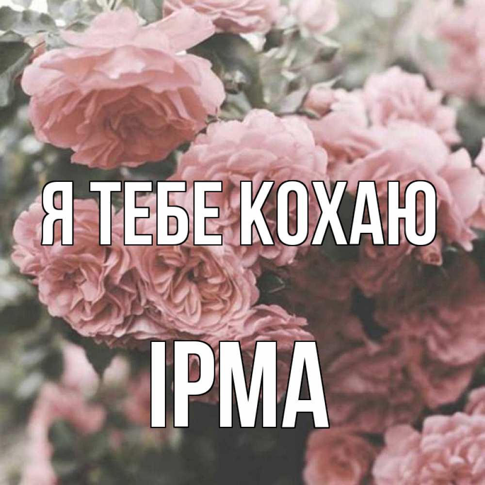 Открытка на каждый день з підписом, Ірма Я тебе кохаю розы 3 Прикольна листівка з побажанням онлайн скачати безкоштовно 