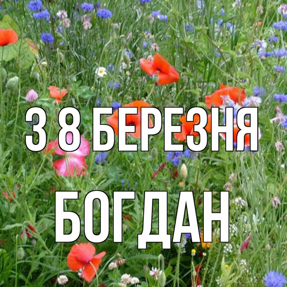 Открытка на каждый день з підписом, Богдан З 8 БЕРЕЗНЯ международный женский день 4 Прикольна листівка з побажанням онлайн скачати безкоштовно 