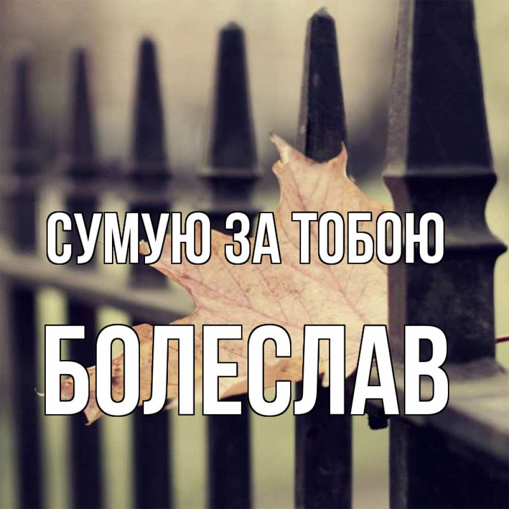Открытка на каждый день з підписом, Болеслав Сумую за тобою очень скучно Прикольна листівка з побажанням онлайн скачати безкоштовно 