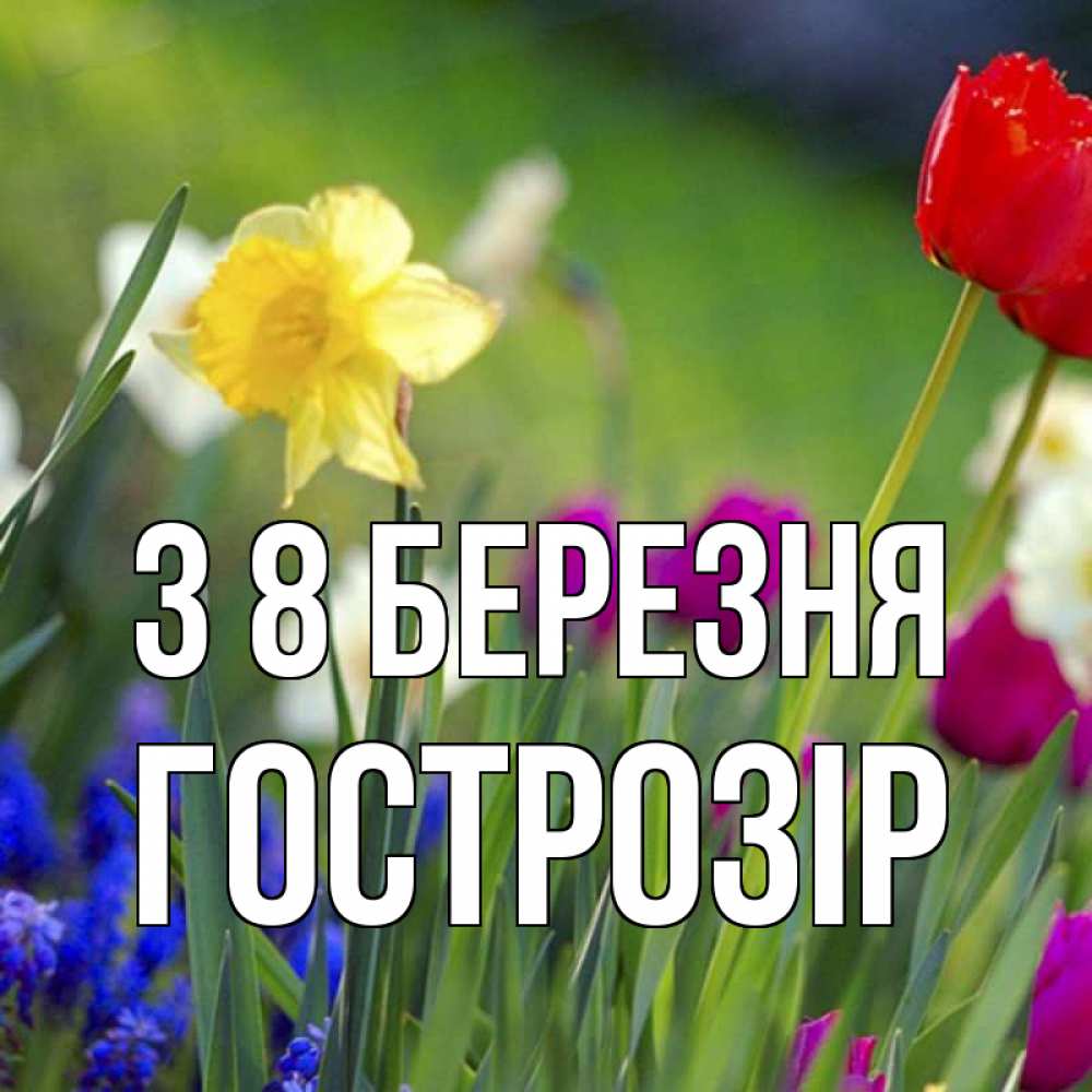 Открытка на каждый день з підписом, Гострозір З 8 БЕРЕЗНЯ международный женский день 3 Прикольна листівка з побажанням онлайн скачати безкоштовно 