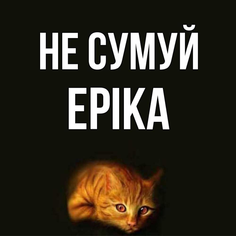 Открытка на каждый день з підписом, Еріка Не сумуй лежащий кот в темноте Прикольна листівка з побажанням онлайн скачати безкоштовно 