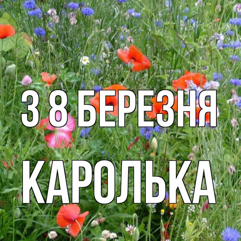 Открытка на каждый день з підписом, Каролька З 8 БЕРЕЗНЯ международный женский день 4 Прикольна листівка з побажанням онлайн скачати безкоштовно 