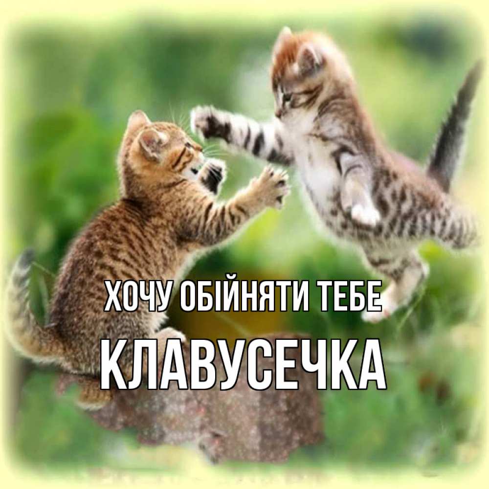 Открытка на каждый день з підписом, Клавусечка Хочу обійняти тебе игры котят Прикольна листівка з побажанням онлайн скачати безкоштовно 
