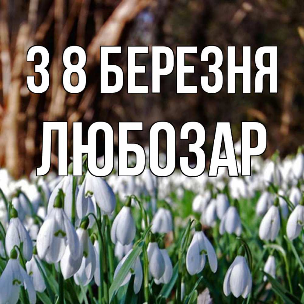Открытка на каждый день з підписом, Любозар З 8 БЕРЕЗНЯ с подснежниками 1 Прикольна листівка з побажанням онлайн скачати безкоштовно 