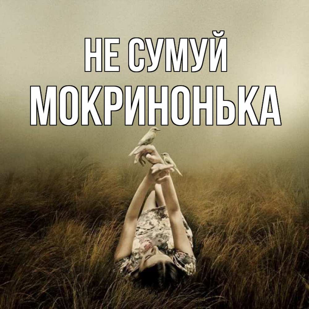 Открытка на каждый день з підписом, Мокринонька Не сумуй поле и туман Прикольна листівка з побажанням онлайн скачати безкоштовно 