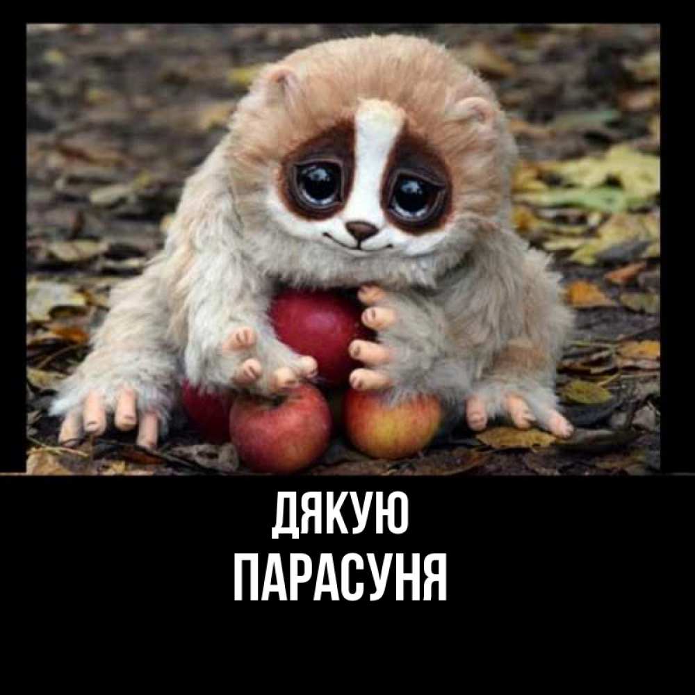 Открытка на каждый день з підписом, Парасуня Дякую прикольное животное Прикольна листівка з побажанням онлайн скачати безкоштовно 