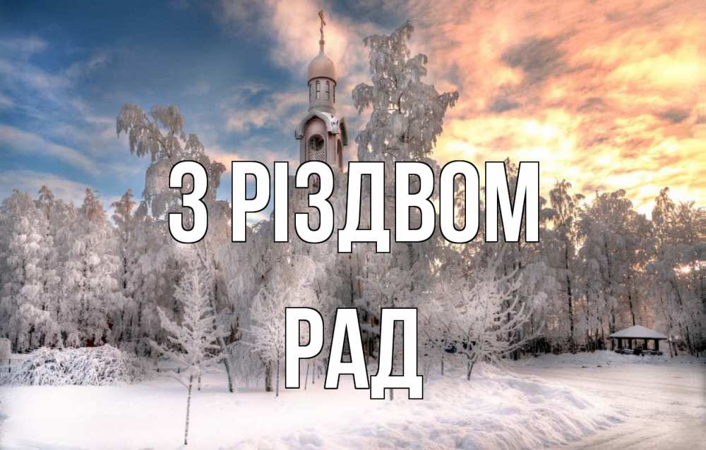 Открытка на каждый день з підписом, Рад З Різдвом лес, зима 2 Прикольна листівка з побажанням онлайн скачати безкоштовно 