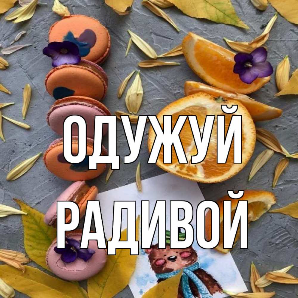 Открытка на каждый день з підписом, Радивой Одужуй не болейте Прикольна листівка з побажанням онлайн скачати безкоштовно 