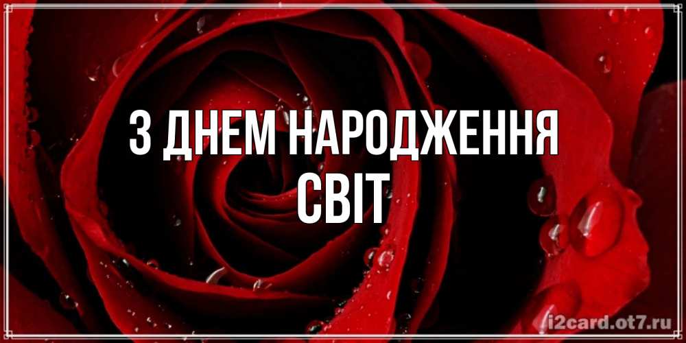 Открытка на каждый день з підписом, Світ З Днем народження крупная бордовая роза Прикольна листівка з побажанням онлайн скачати безкоштовно 