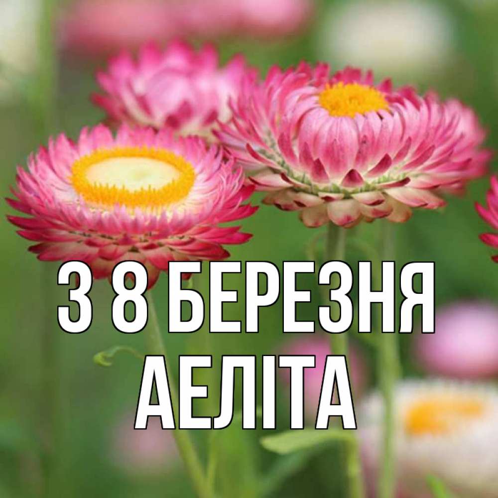 Открытка на каждый день з підписом, Аеліта З 8 БЕРЕЗНЯ подарок на международный женский день Прикольна листівка з побажанням онлайн скачати безкоштовно 