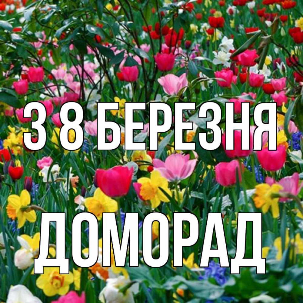 Открытка на каждый день з підписом, Доморад З 8 БЕРЕЗНЯ с международным женским днем поздравления для женщины Прикольна листівка з побажанням онлайн скачати безкоштовно 
