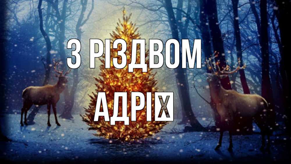 Открытка на каждый день з підписом, Адрії З Різдвом олени, новогодняя елка Прикольна листівка з побажанням онлайн скачати безкоштовно 