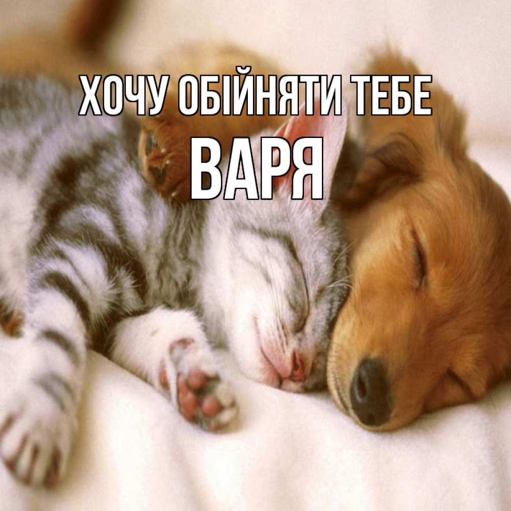 Открытка на каждый день з підписом, Варя Хочу обійняти тебе пес и котенок Прикольна листівка з побажанням онлайн скачати безкоштовно 