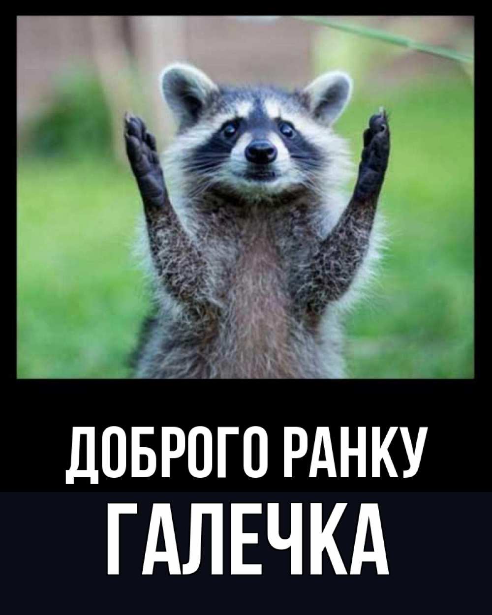 Открытка на каждый день з підписом, Галечка Доброго ранку хорошее настроение утречком Прикольна листівка з побажанням онлайн скачати безкоштовно 