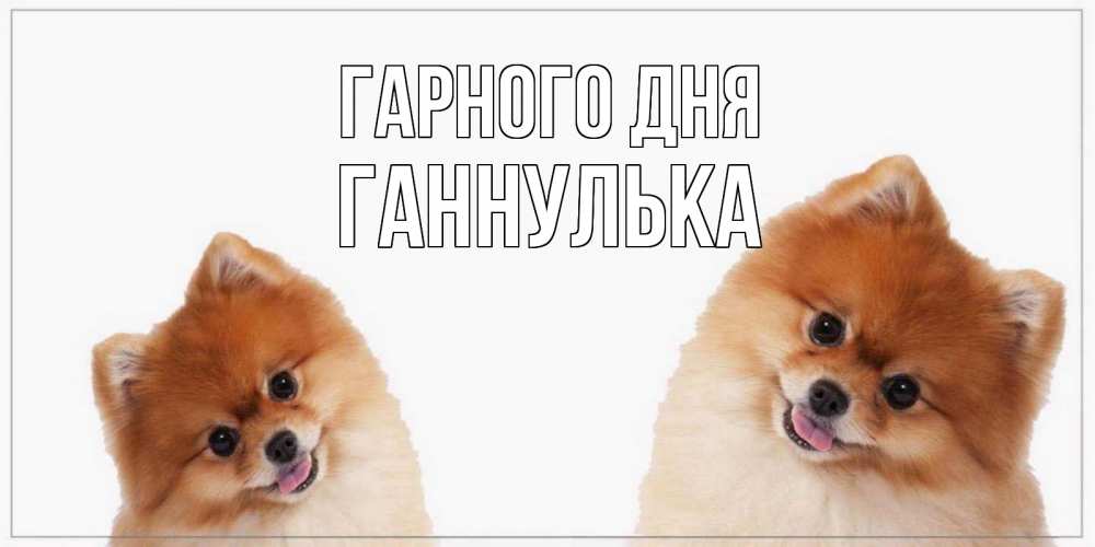 Открытка на каждый день з підписом, Ганнулька Гарного дня собачки желают прекрасного дня Прикольна листівка з побажанням онлайн скачати безкоштовно 