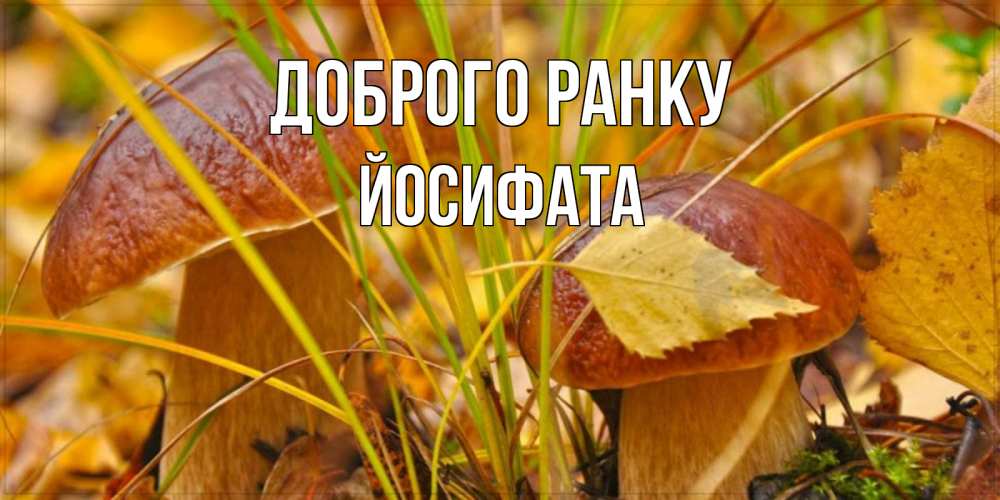 Открытка на каждый день з підписом, Йосифата Доброго ранку осенние грибы Прикольна листівка з побажанням онлайн скачати безкоштовно 