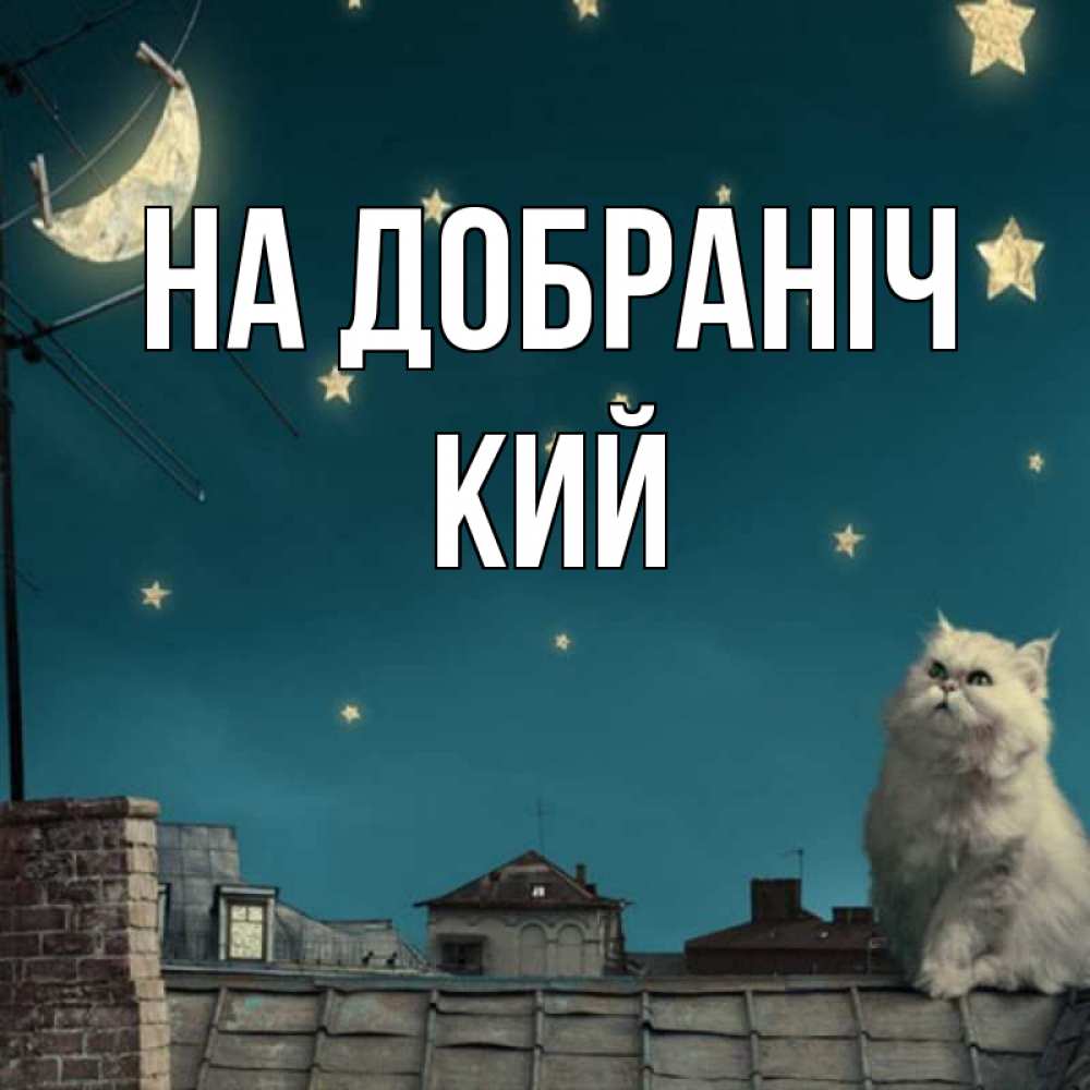Открытка на каждый день з підписом, Кий На добраніч белый кот сидит на крыше Прикольна листівка з побажанням онлайн скачати безкоштовно 