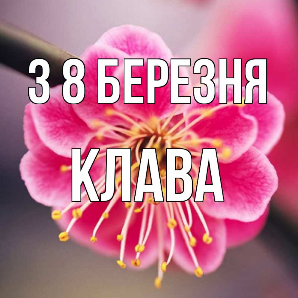 Открытка на каждый день з підписом, Клава З 8 БЕРЕЗНЯ цветы Прикольна листівка з побажанням онлайн скачати безкоштовно 