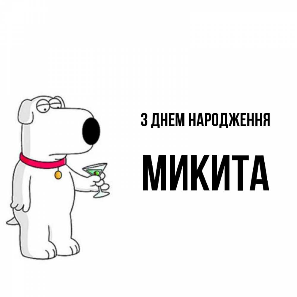 Открытка на каждый день з підписом, Микита З Днем народження песик с оливками Прикольна листівка з побажанням онлайн скачати безкоштовно 