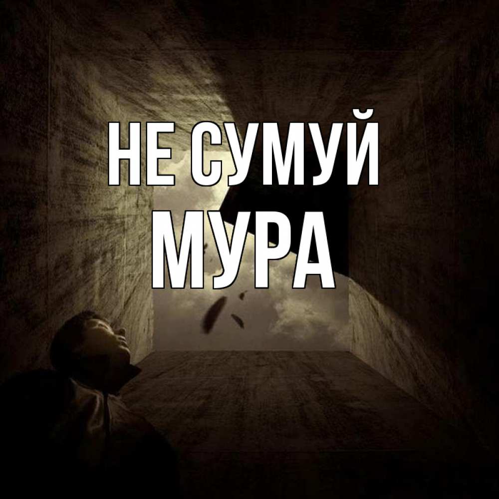 Открытка на каждый день з підписом, Мура Не сумуй жуть Прикольна листівка з побажанням онлайн скачати безкоштовно 