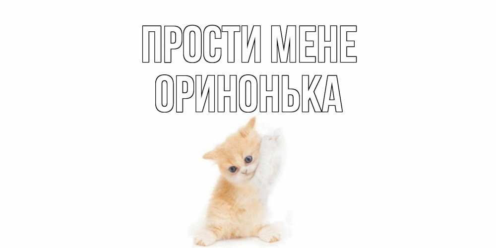 Открытка на каждый день з підписом, Оринонька Прости мене кот Прикольна листівка з побажанням онлайн скачати безкоштовно 