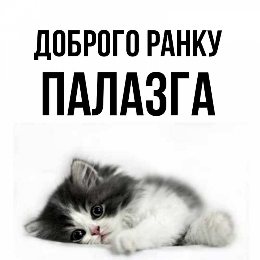 Открытка на каждый день з підписом, Палазга Доброго ранку кот лапки Прикольна листівка з побажанням онлайн скачати безкоштовно 