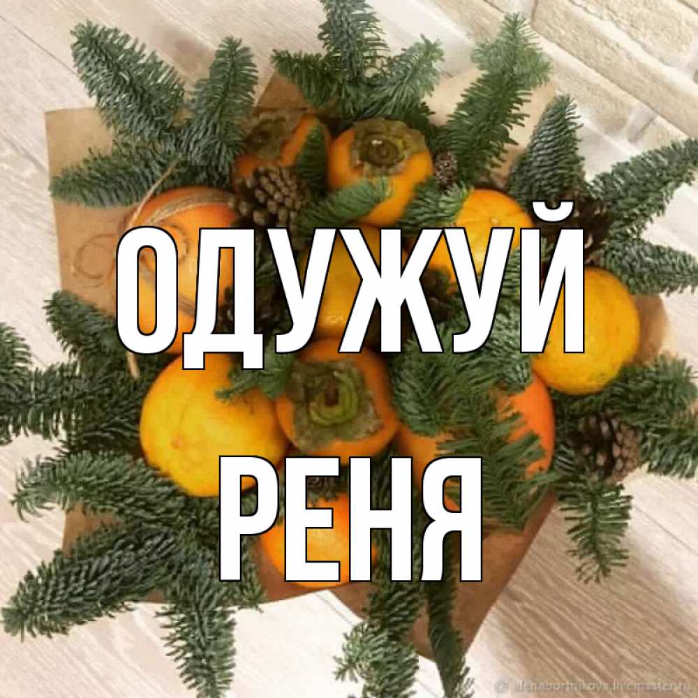 Открытка на каждый день з підписом, Реня Одужуй апельсины и хурьма Прикольна листівка з побажанням онлайн скачати безкоштовно 